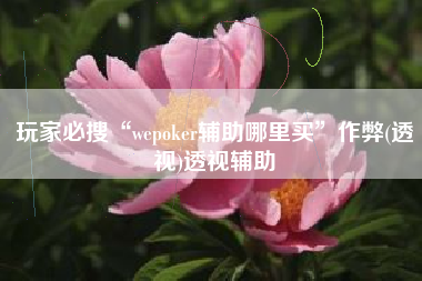 玩家必搜“wepoker辅助哪里买”作弊(透视)透视辅助