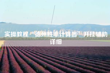 实操教程“德州胜率计算器”开挂辅助详细