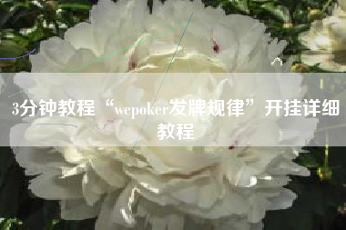 3分钟教程“wepoker发牌规律”开挂详细教程