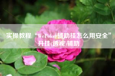 实操教程“WePoker辅助挂怎么用安全”开挂(透视)辅助