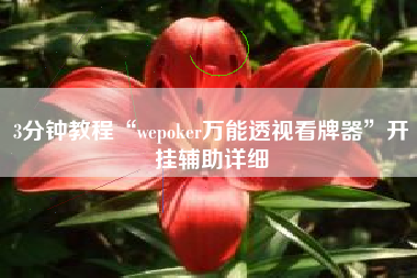 3分钟教程“wepoker万能透视看牌器”开挂辅助详细