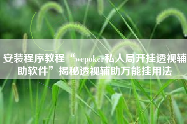 安装程序教程“wepoker私人局开挂透视辅助软件	”揭秘透视辅助万能挂用法