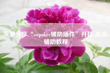 实测分享“wepoker辅助插件”开挂(透视)辅助教程