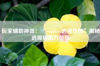 玩家辅助神器：“wepoker透视作弊”揭秘透视辅助万能挂