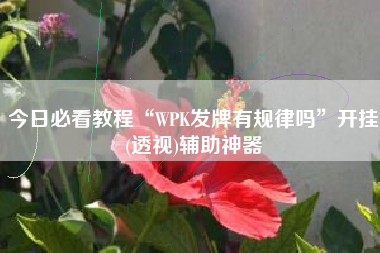 今日必看教程“WPK发牌有规律吗”开挂(透视)辅助神器