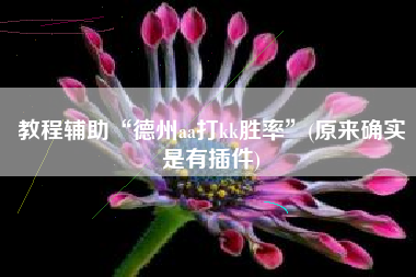 教程辅助“德州aa打kk胜率”(原来确实是有插件)
