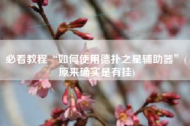 必看教程“如何使用德扑之星辅助器”(原来确实是有挂)