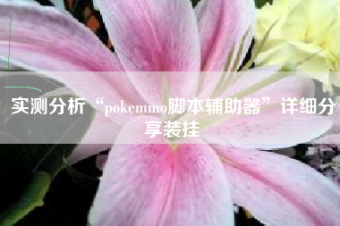 实测分析“pokemmo脚本辅助器”详细分享装挂