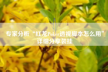专家分析“红龙Poker透视脚本怎么用”详细分享装挂