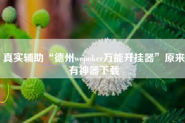 真实辅助“德州wepoker万能开挂器	”原来有神器下载