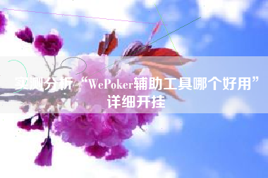实测分析“WePoker辅助工具哪个好用”详细开挂