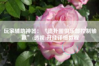 玩家辅助神器：“德扑圈俱乐部控制输赢”(透视)开挂详细教程