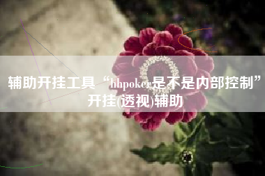 辅助开挂工具“hhpoker是不是内部控制	”开挂(透视)辅助