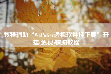 教程辅助“WePoKer透视软件挂下载”开挂(透视)辅助教程