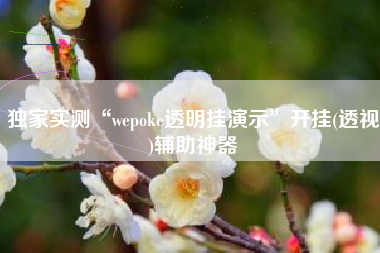 独家实测“wepoke透明挂演示”开挂(透视)辅助神器