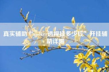 真实辅助“apoker透视挂多少钱”开挂辅助详细