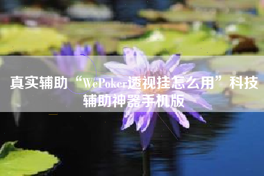 真实辅助“WePoker透视挂怎么用	”科技辅助神器手机版