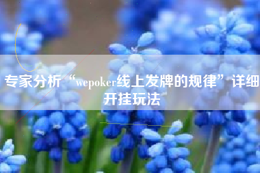 专家分析“wepoker线上发牌的规律”详细开挂玩法