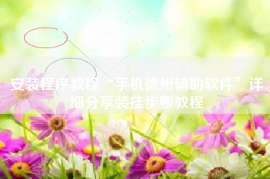 安装程序教程“手机德州辅助软件”详细分享装挂步骤教程