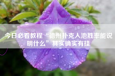 今日必看教程“德州扑克入池胜率能说明什么”其实确实有挂