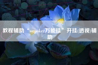 教程辅助“wepoker万能挂”开挂(透视)辅助