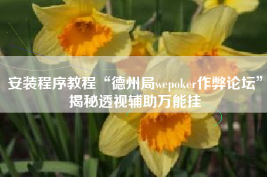 安装程序教程“德州局wepoker作弊论坛”揭秘透视辅助万能挂