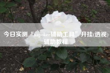 今日实测“aapoker辅助工具”开挂(透视)辅助教程