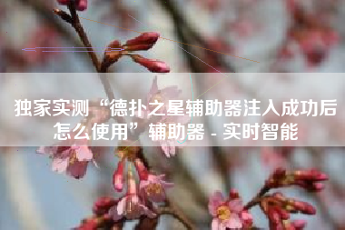 独家实测“德扑之星辅助器注入成功后怎么使用”辅助器 - 实时智能