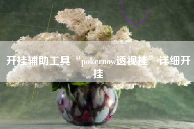开挂辅助工具“pokernow透视挂”详细开挂