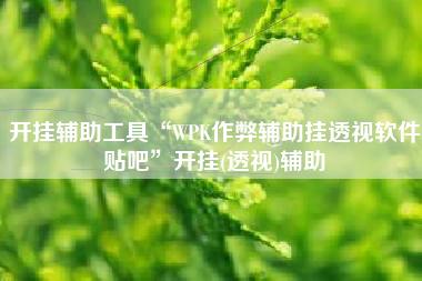 开挂辅助工具“WPK作弊辅助挂透视软件贴吧”开挂(透视)辅助