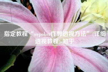 指定教程“wepoker作弊透视方法”(详细透视教程)-知乎