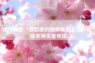 软件分享“微信里的微乐麻将怎么开挂”(原来确实是有挂)