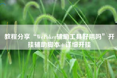 教程分享“WePoker辅助工具好用吗”开挂辅助脚本+详细开挂