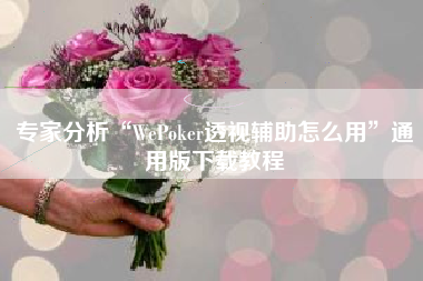 专家分析“WePoker透视辅助怎么用”通用版下载教程