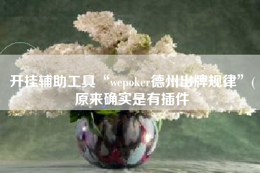 开挂辅助工具“wepoker德州出牌规律	”(原来确实是有插件