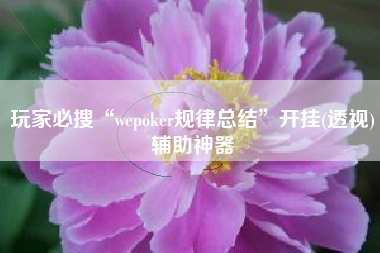 玩家必搜“wepoker规律总结”开挂(透视)辅助神器