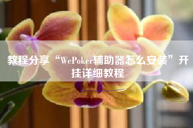 教程分享“WePoker辅助器怎么安装”开挂详细教程