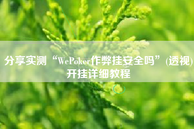 分享实测“WePoker作弊挂安全吗”(透视)开挂详细教程