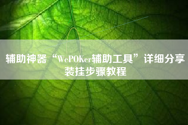 辅助神器“WePOKer辅助工具”详细分享装挂步骤教程