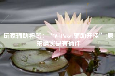 玩家辅助神器：“WePoker辅助开挂	”(原来确实是有插件