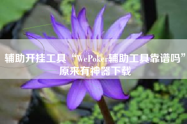 辅助开挂工具“WePoker辅助工具靠谱吗”原来有神器下载