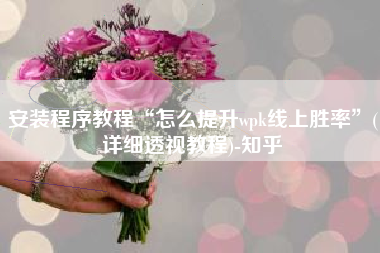 安装程序教程“怎么提升wpk线上胜率”(详细透视教程)-知乎