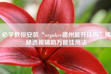 必学教你安装“wepoker德州能开挂吗”揭秘透视辅助万能挂用法