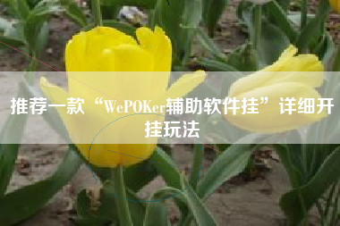 推荐一款“WePOKer辅助软件挂”详细开挂玩法