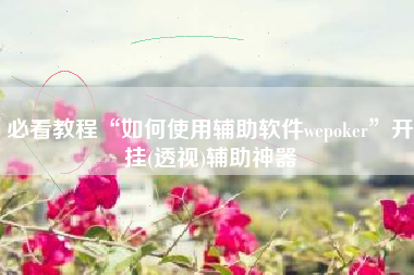 必看教程“如何使用辅助软件wepoker	”开挂(透视)辅助神器