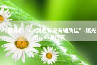 专家分析“wpk到底有没有辅助挂”(曝光透视必备猫腻