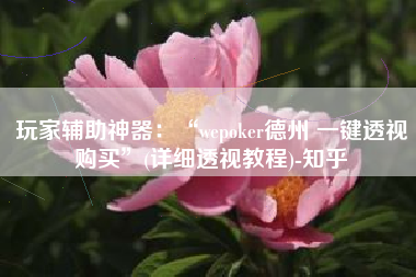 玩家辅助神器：“wepoker德州 一键透视购买”(详细透视教程)-知乎