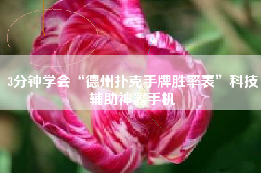 3分钟学会“德州扑克手牌胜率表”科技辅助神器手机