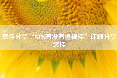 软件分享“WPK有没有透视挂	”详细分享装挂