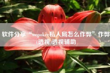 软件分享“wepoker私人局怎么作弊	”作弊(透视)透视辅助